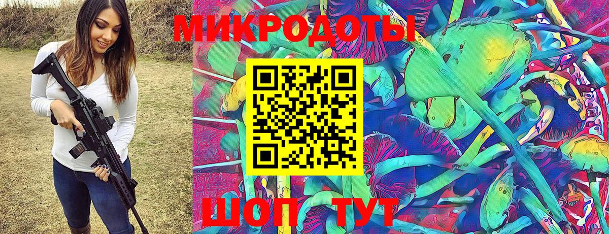 Галлюциногенные грибы Psilocybine cubensis Волгоград