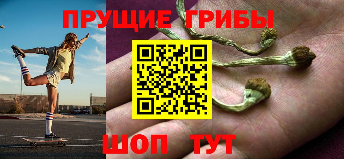 Волгоград  Псилоцибиновые грибы ЛСД  Вход с VPN  Псилоцибиновые грибы GOLDEN TEACHER 